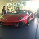 Illustration for article titled Lamborghini Newport Beach supercar show